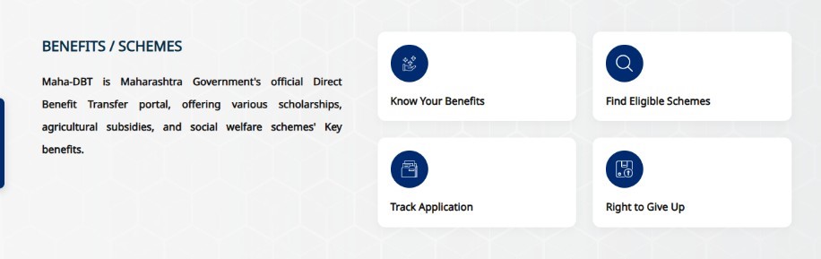 How to Check Your Application Status