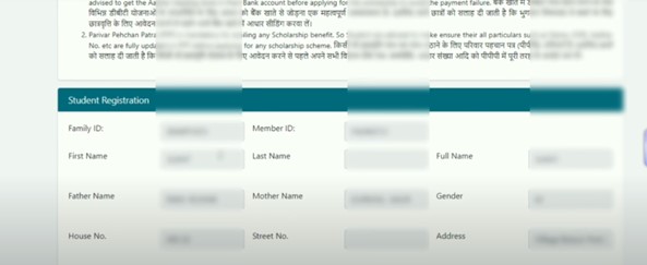 Haryana Scholarship Portal - After OPT verification